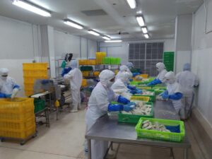 HIC Co., Ltd. ระบบปรับอากาศ (พื้นที่ผลิตอาหาร)